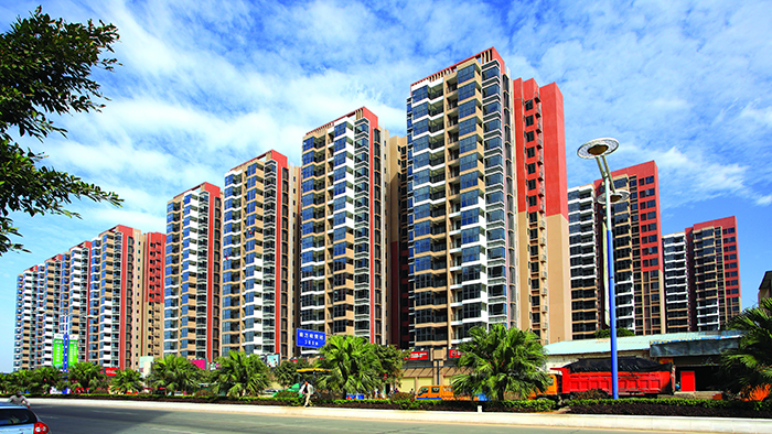 关于龙驹1.jpg