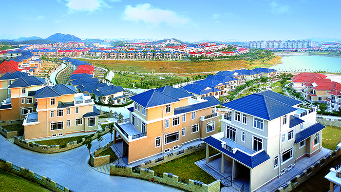 关于龙驹2.jpg