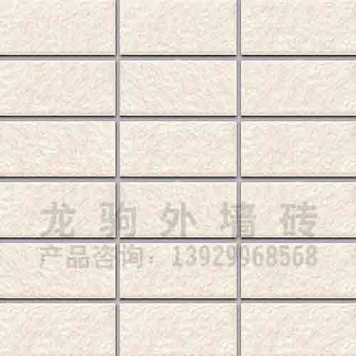 热销外墙砖AS1007