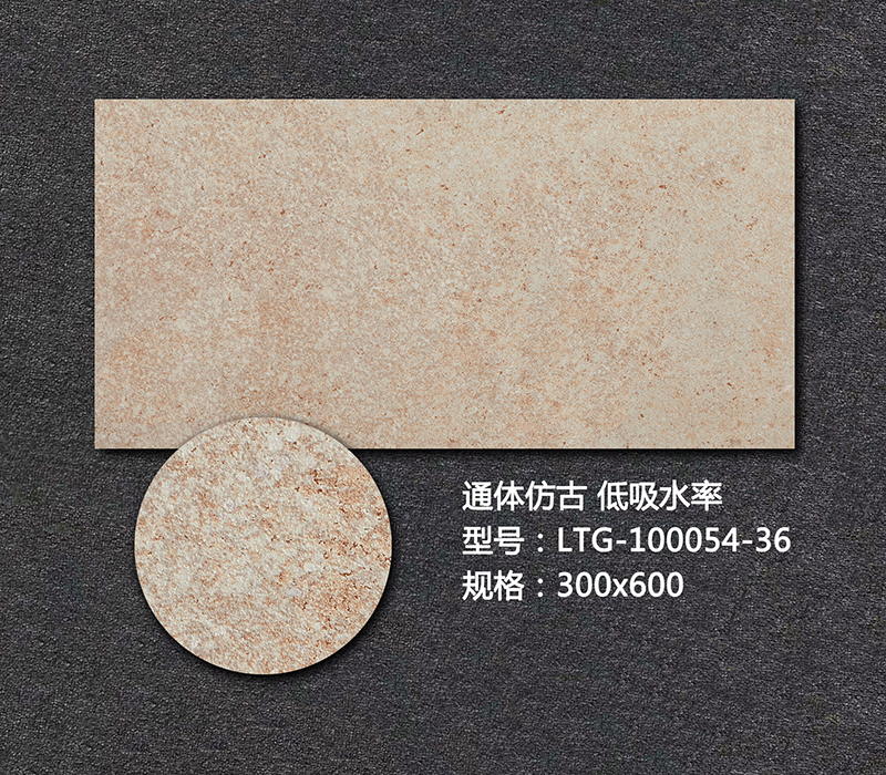 艺术外墙砖LTG-100054-36