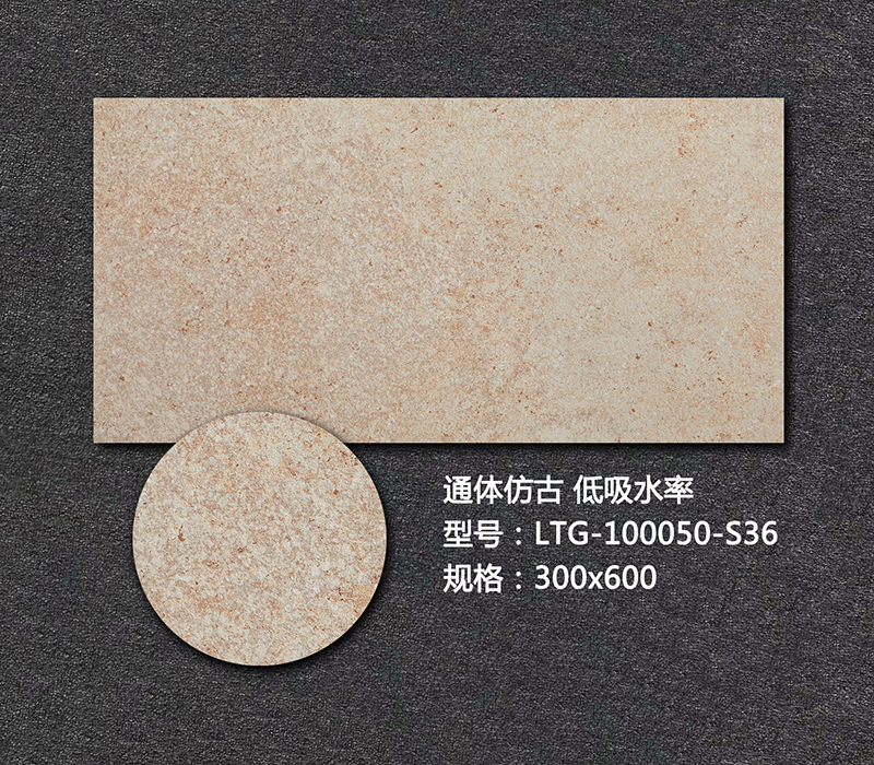 艺术外墙砖LTG-100050-S36