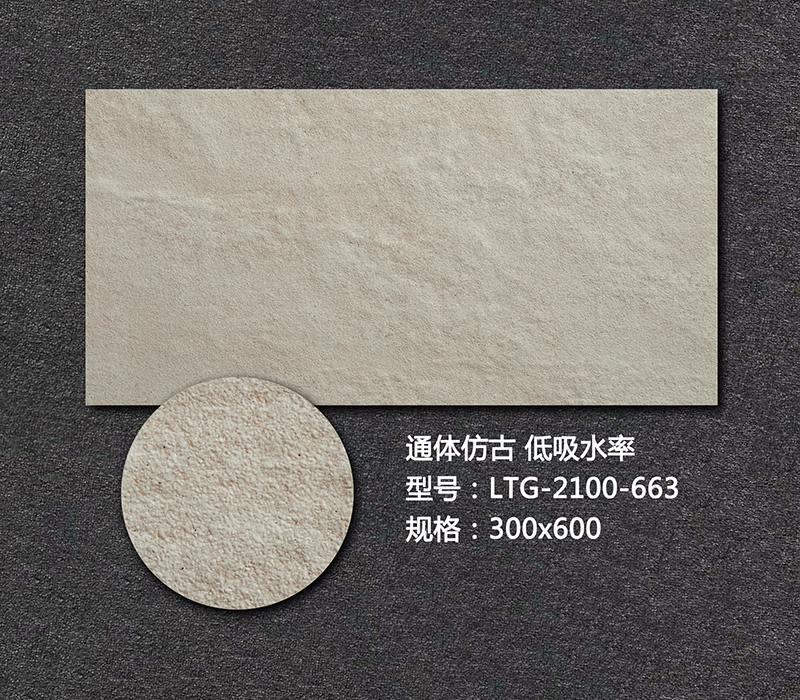 艺术外墙砖LTG-2100-663
